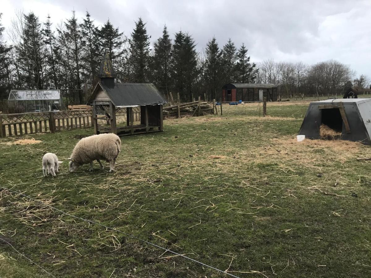 Sdr. Bork Villa Hemmet Eksteriør billede
